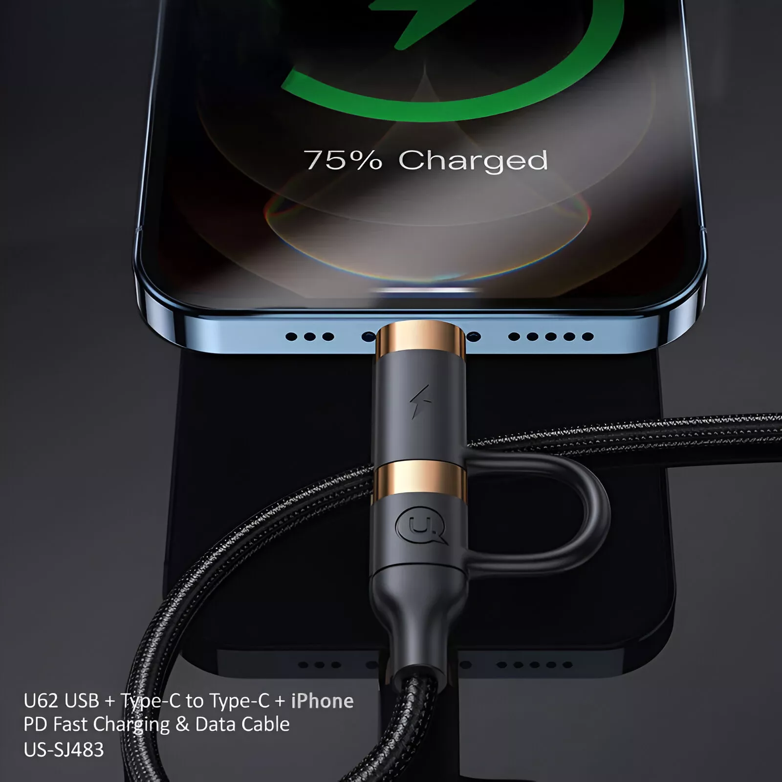 4-in-1 60W PD USB C Cable - Image 3