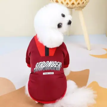 Zipper Neck Trench Coat for Dogs