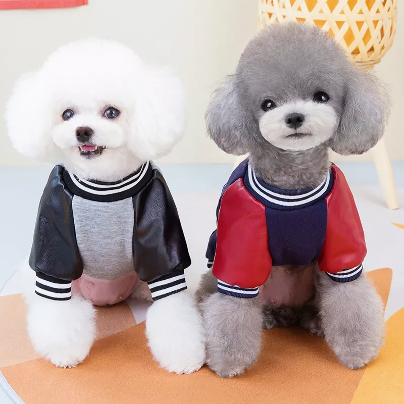 Zipper Baseball Coat for Small Dogs - Image 5