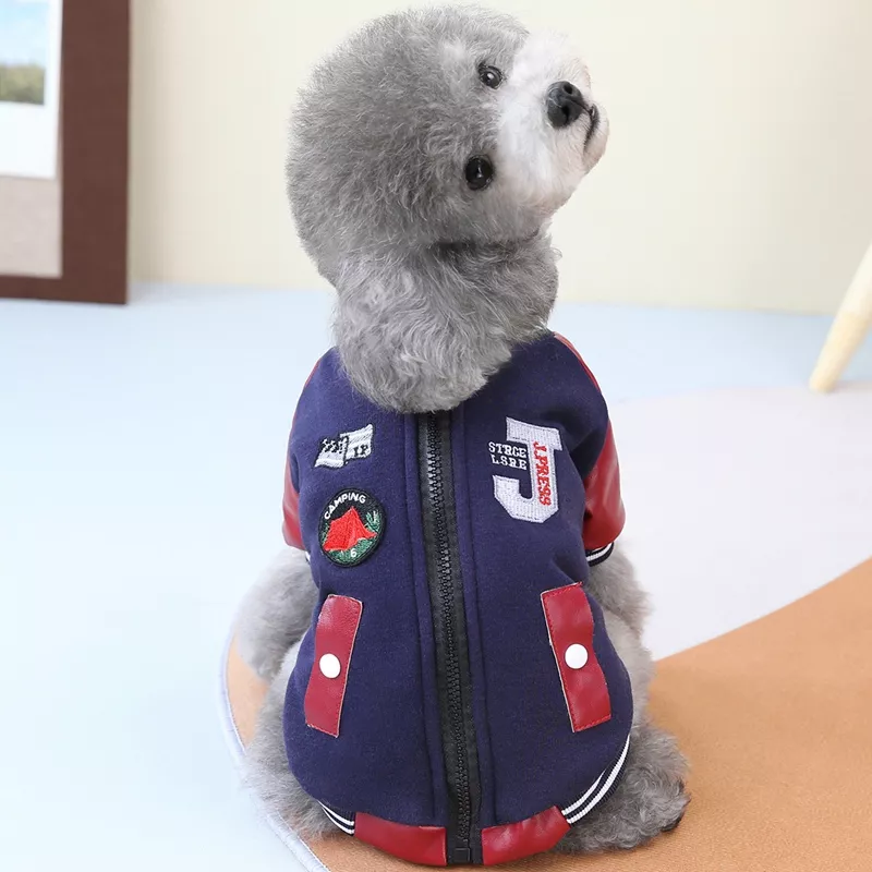 Zipper Baseball Coat for Small Dogs - Image 2