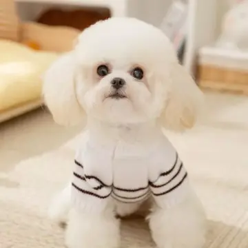 Small Dog Striped Cardigan Sweater