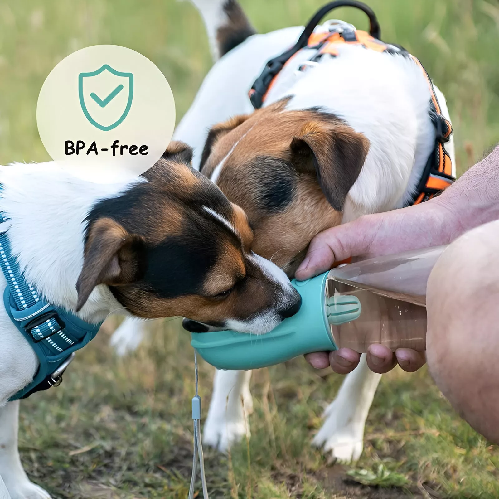 Portable Dog Water Bottle with Food Container - Image 2
