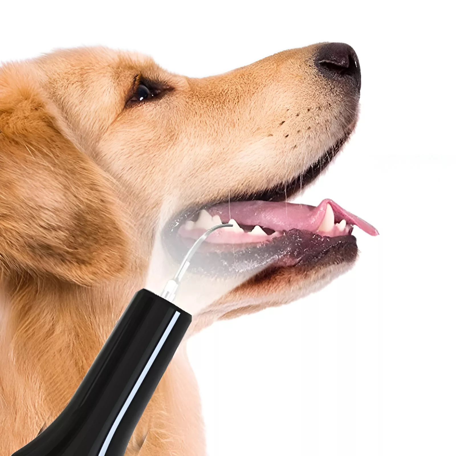 Pet Teeth Cleaning Tools - Image 4