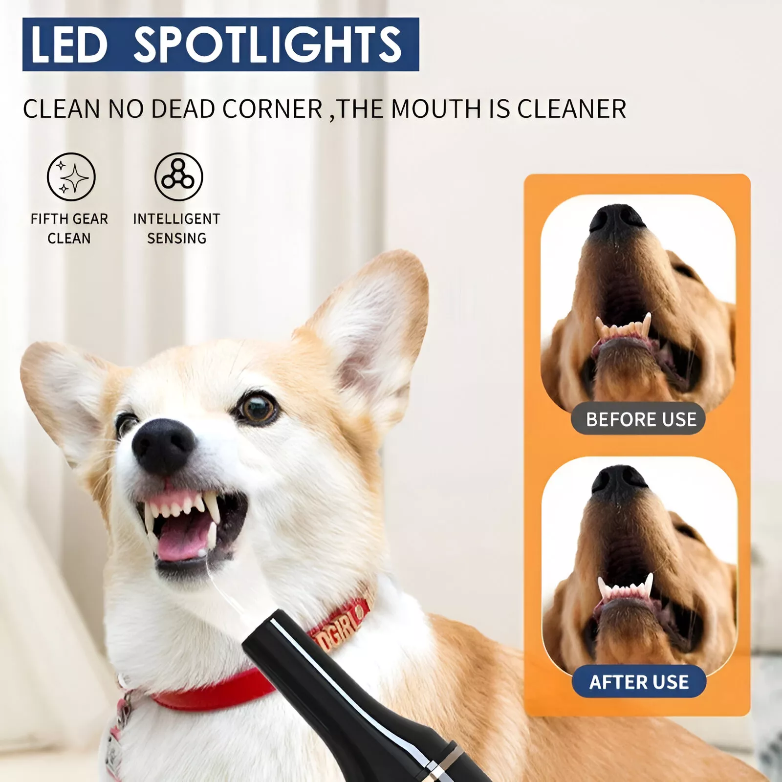 Pet Teeth Cleaning Tools - Image 2