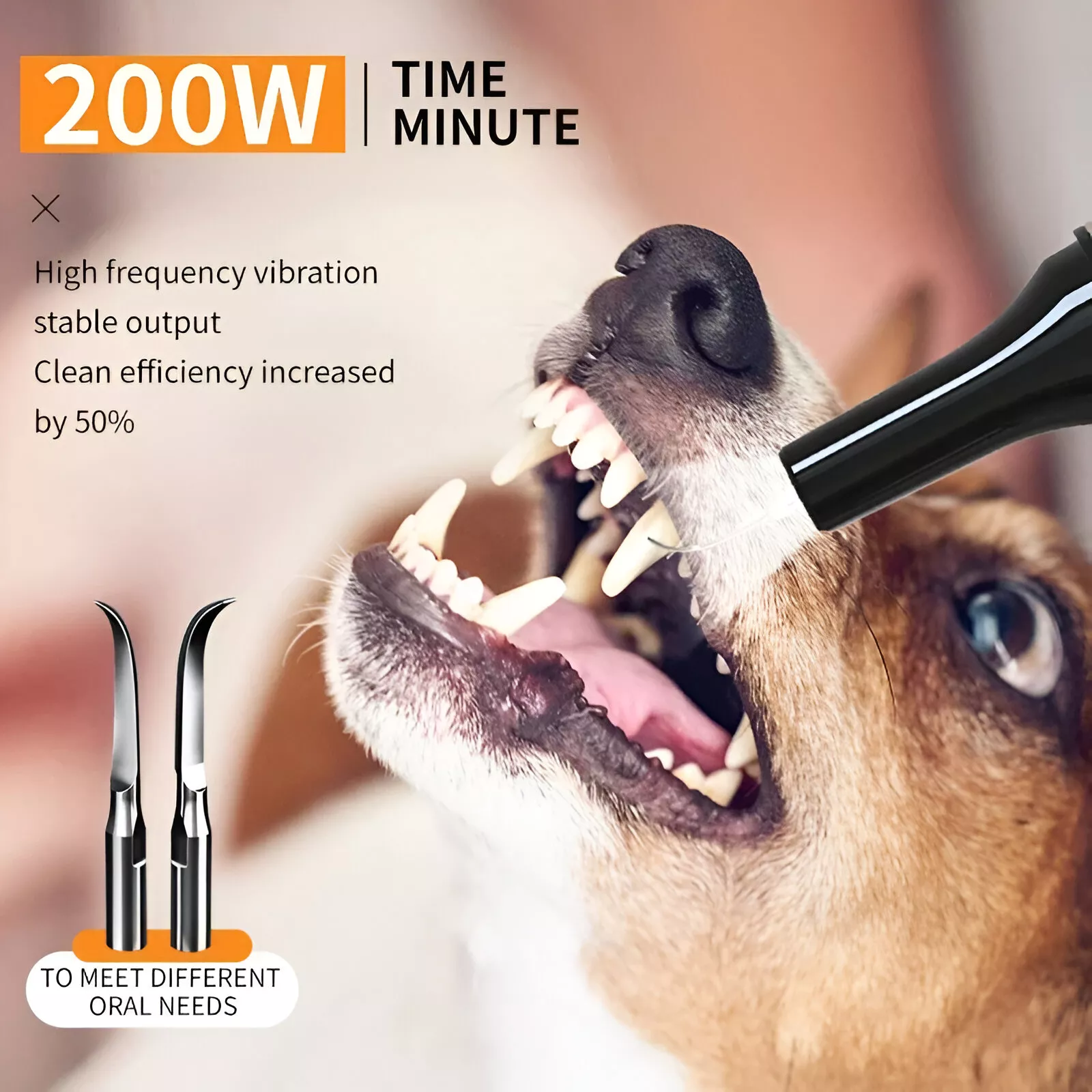 Pet Teeth Cleaning Tools - Image 6