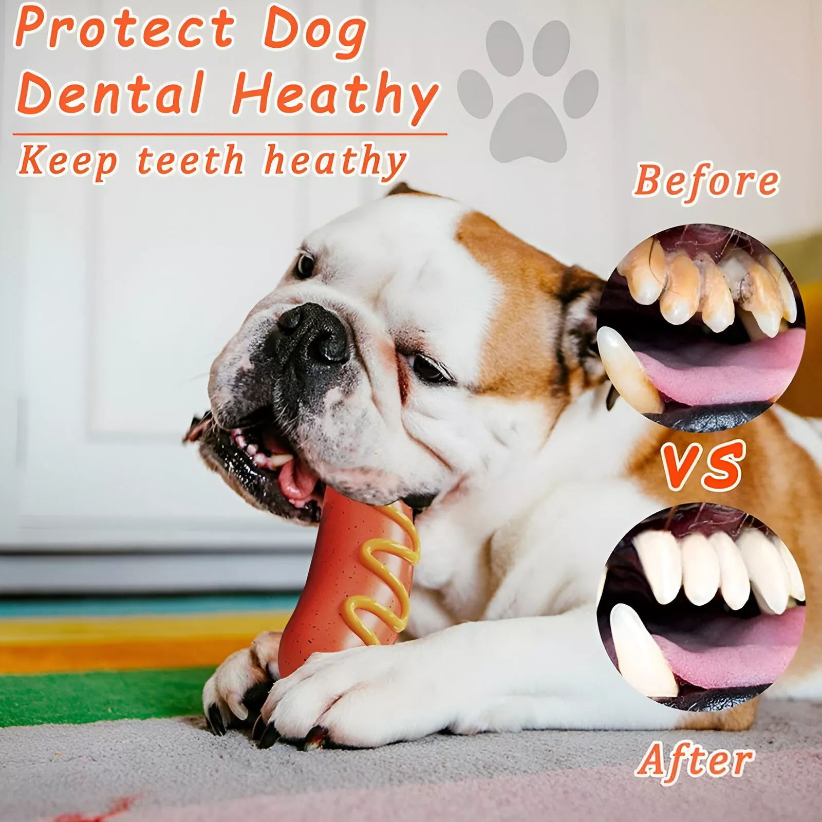 Indestructible Rubber Dog Chew Toy with Squeak - Image 3