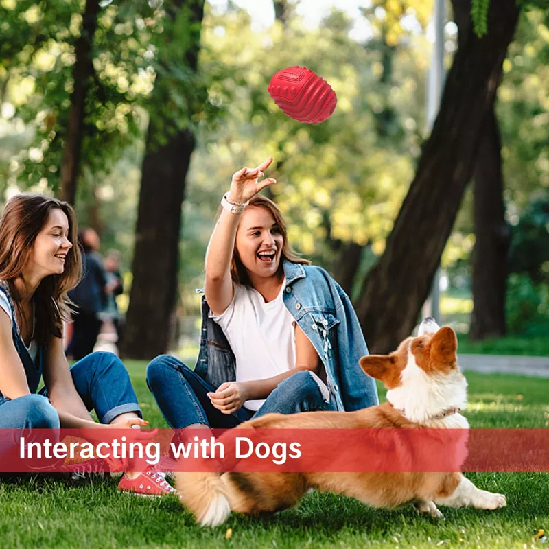 Tough Rubber Dog Chew Toy - Image 2