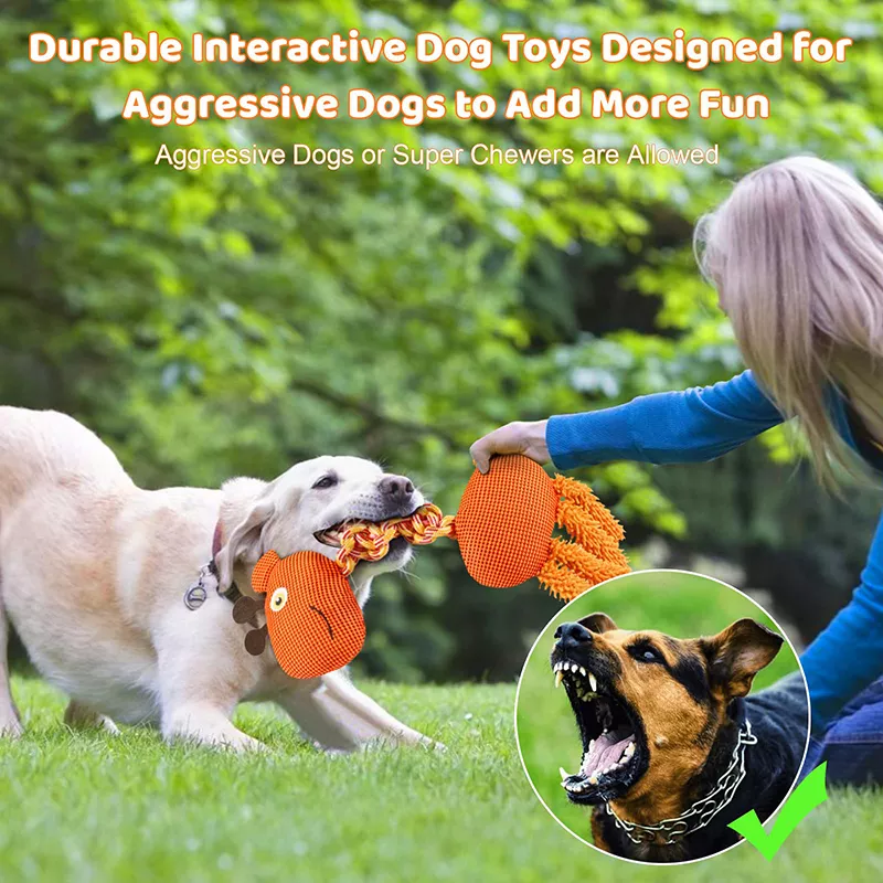 Durable Squeaky Dog Rope Toy - Image 5