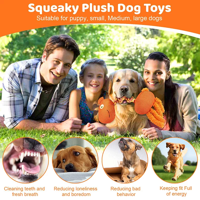 Durable Squeaky Dog Rope Toy - Image 4