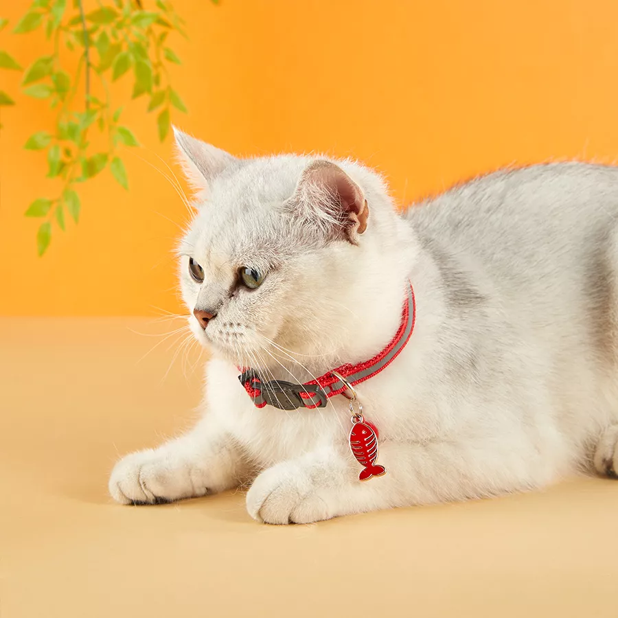 Reflective Cat & Dog Collars with Bells - Image 3