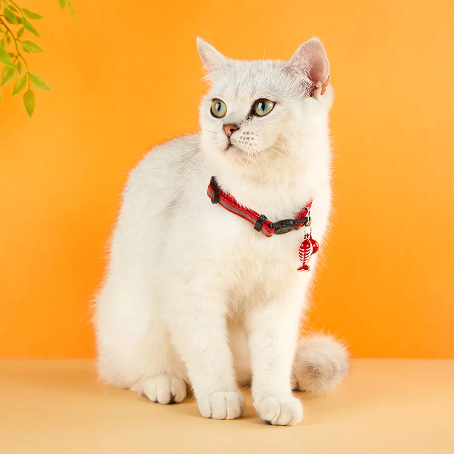 Reflective Cat & Dog Collars with Bells - Image 2