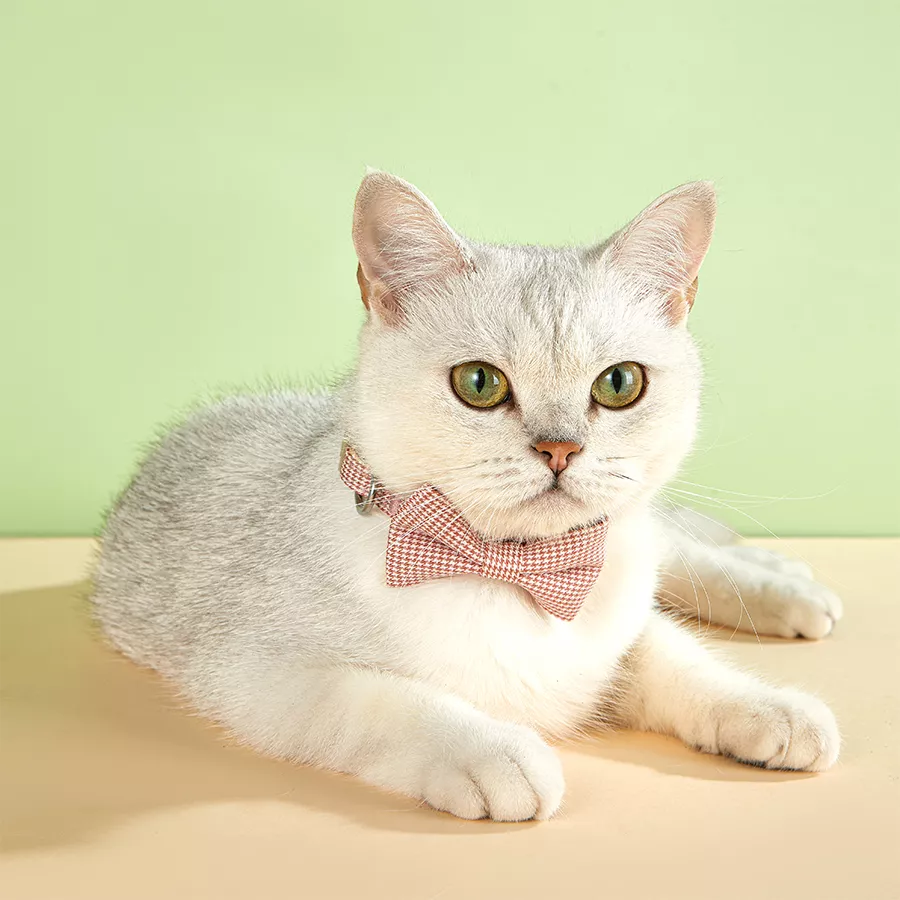 Plaid Bow Tie Cat & Small Dog Collar with Bell - Image 4