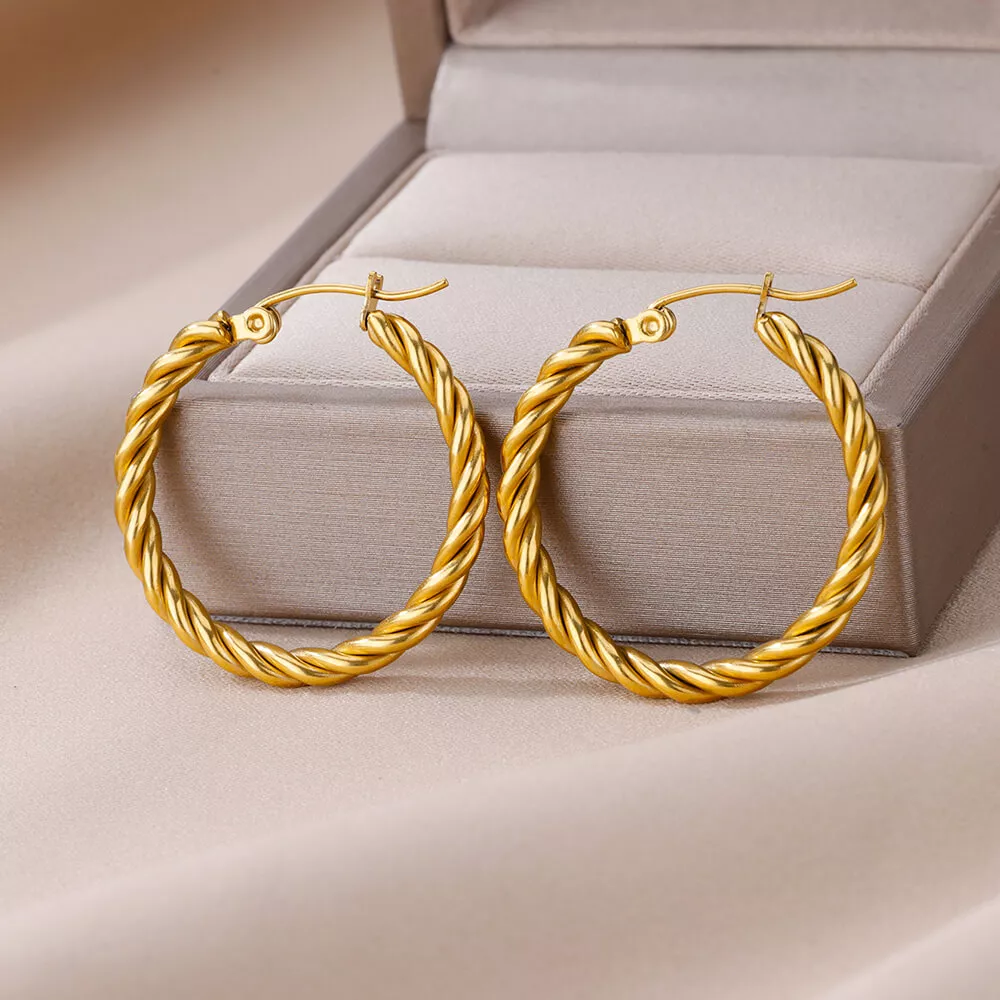 Trendy Twisted Stainless Steel Hoop Earrings - Image 3