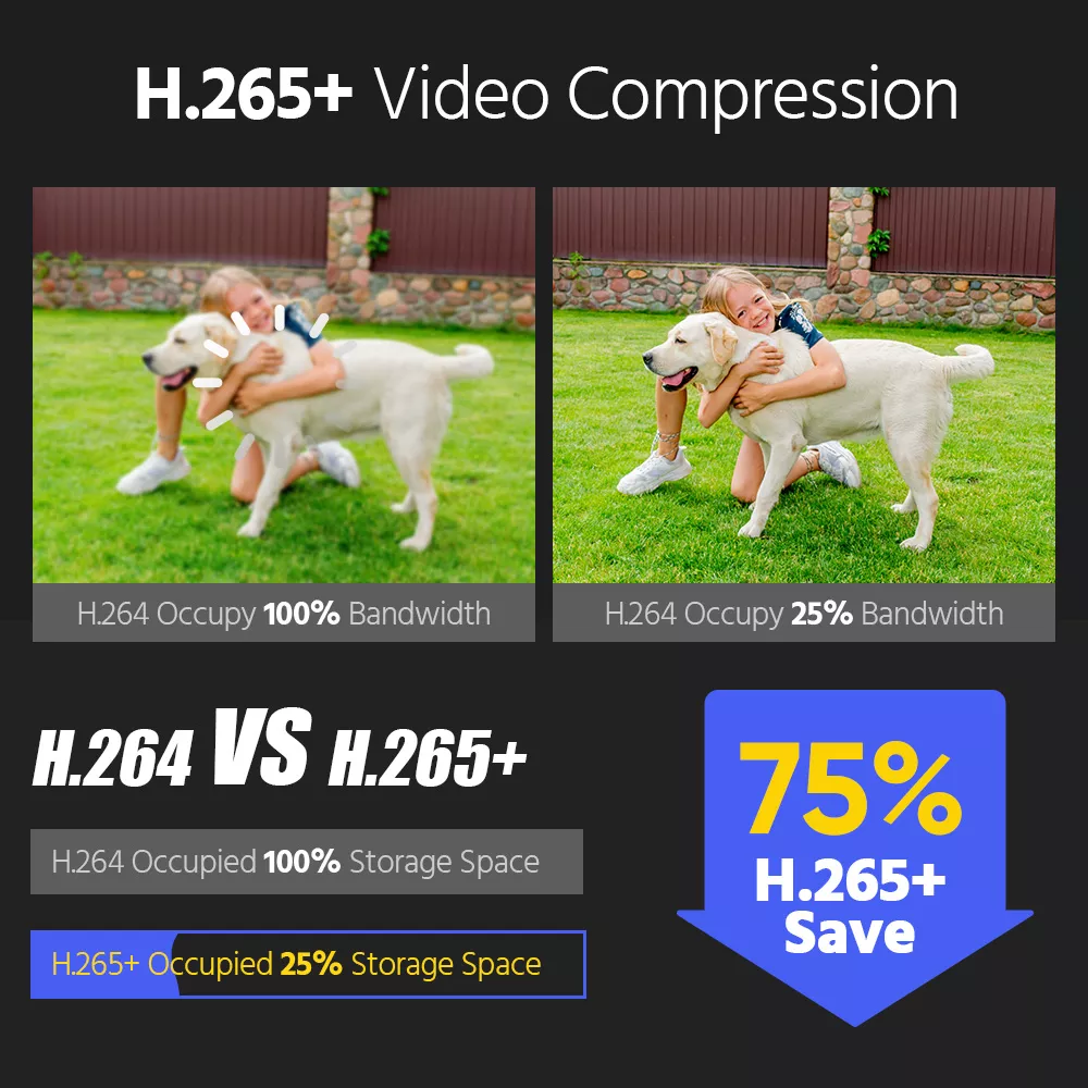 12MP Outdoor PoE Security Camera with Dual Light and Night Vision - Image 7