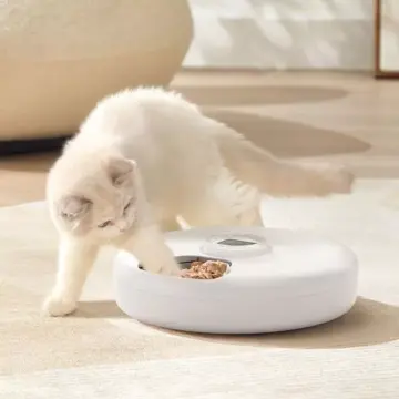 Automatic Pet Feeder for Cats