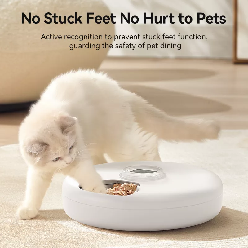 Automatic Pet Feeder for Cats - Image 2