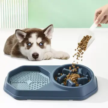 Funny Pet Feeding Bowl Set
