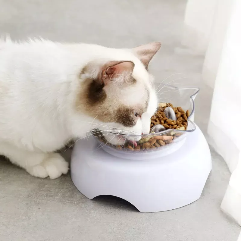 15° Tilted Slow Feeder Cat Bowl - Image 3