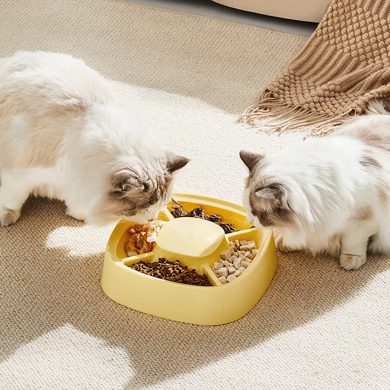 Multifunctional 4-Grid Cat Feeding Bowl