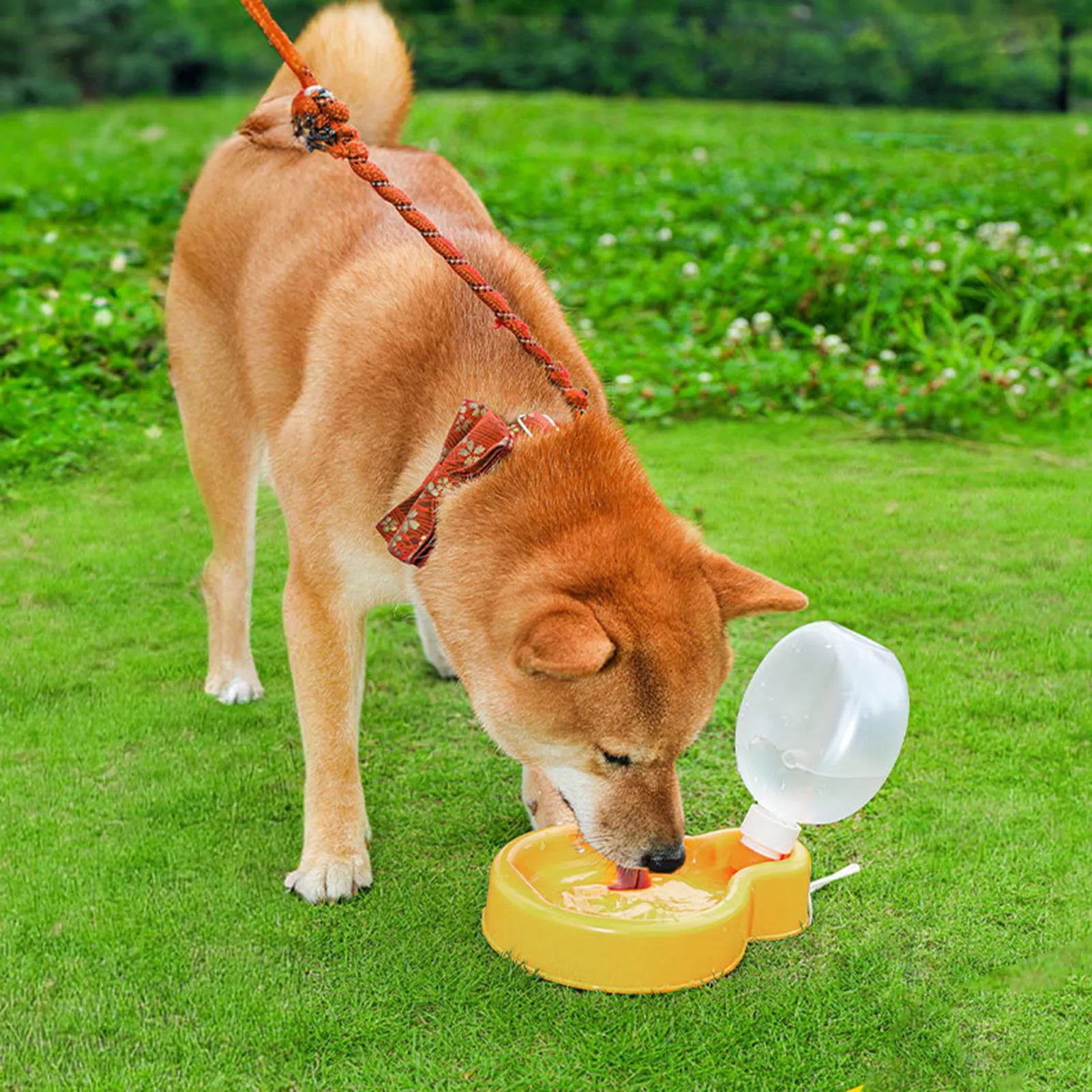 Portable Pet Water Bottle with Foldable Drinking Bowl - Image 4