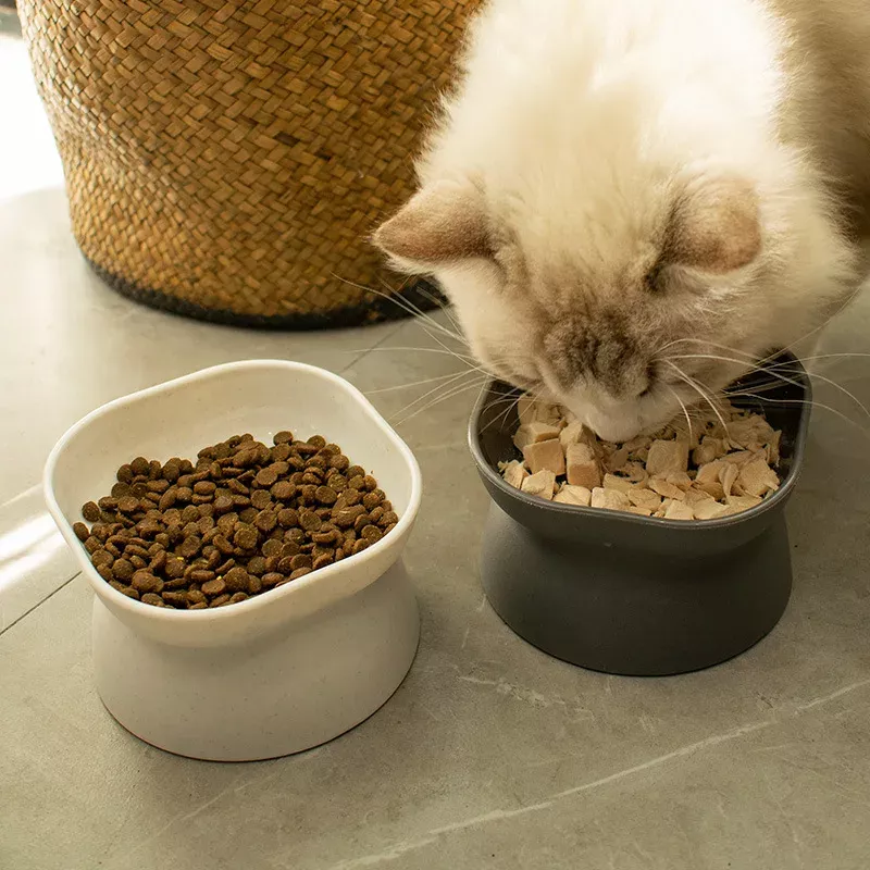 Stress-Free Tilted Cat Food Bowl - Image 2