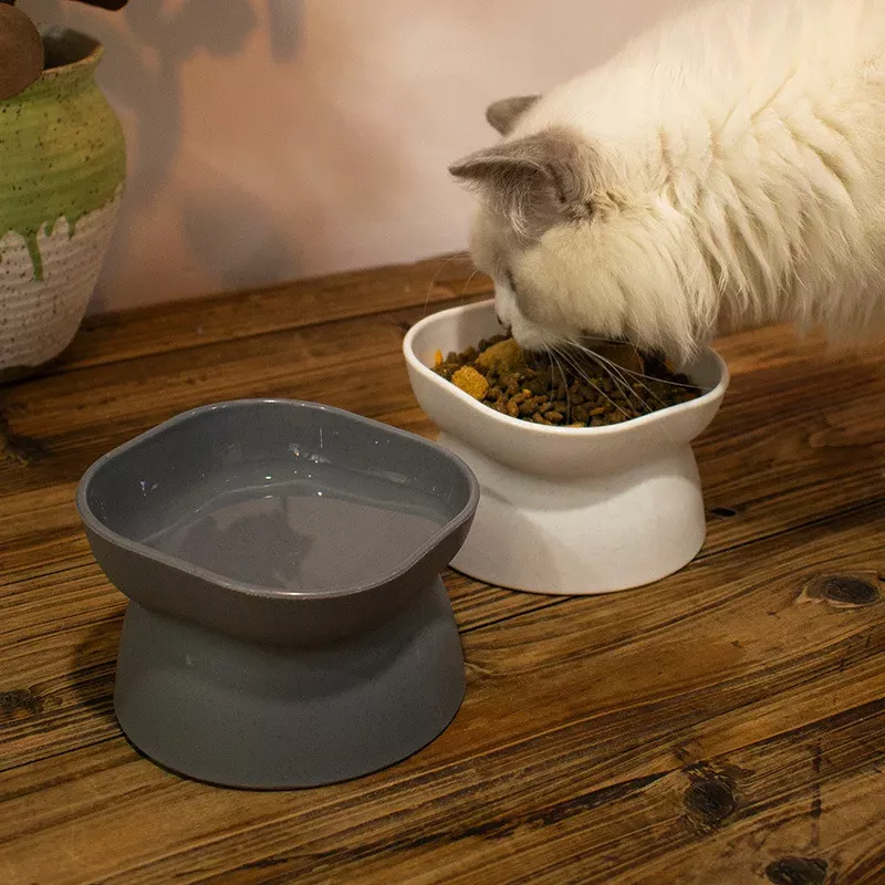 Stress-Free Tilted Cat Food Bowl - Image 4