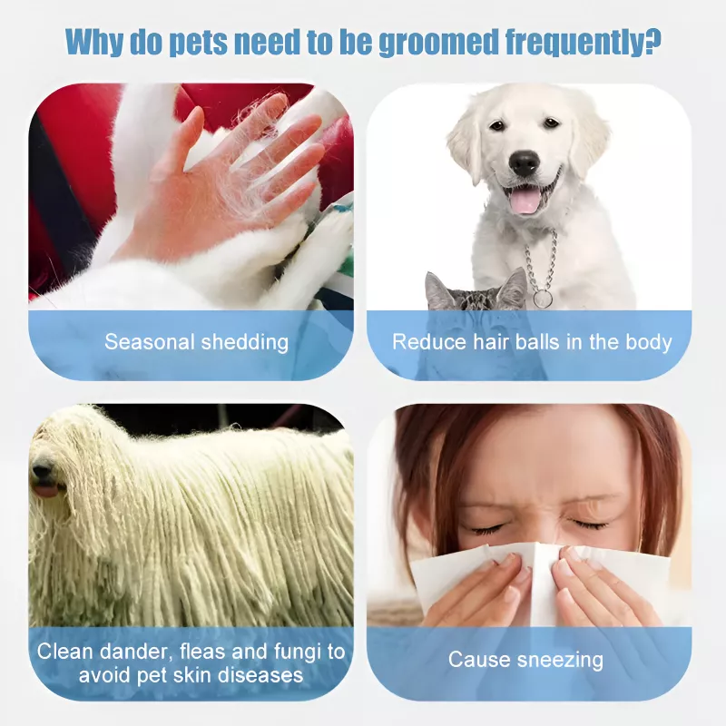 Rechargeable Pet Grooming Comb & Hair Remover Vacuum - Image 4