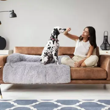 Large Dog Sofa Bed