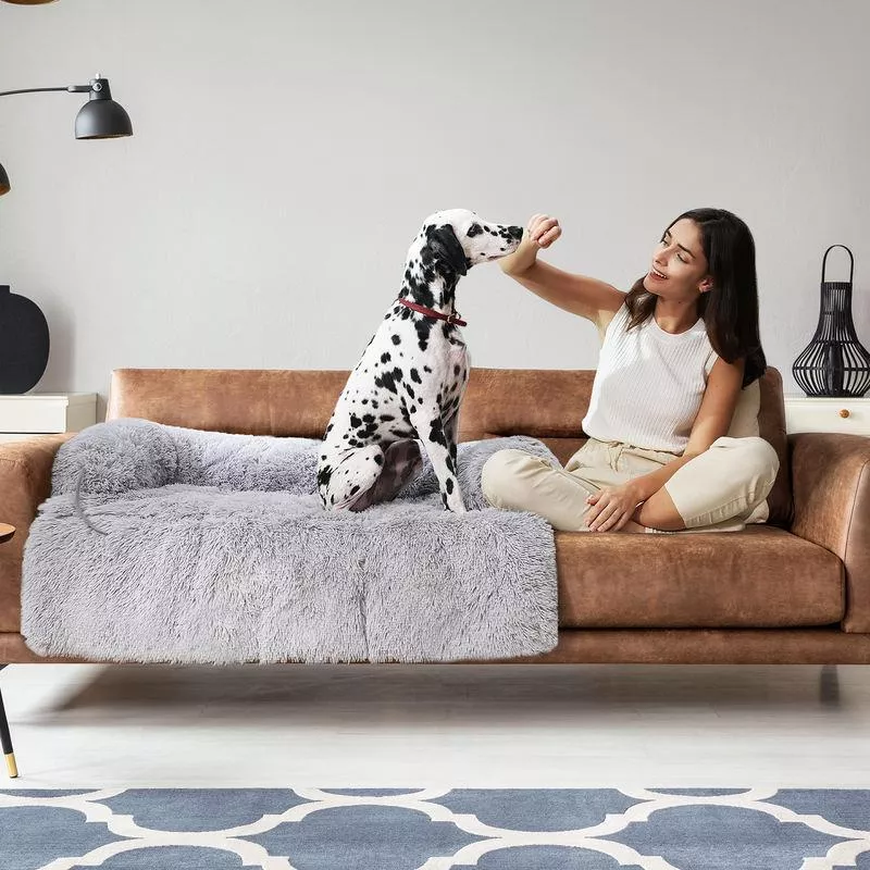 Large Dog Sofa Bed