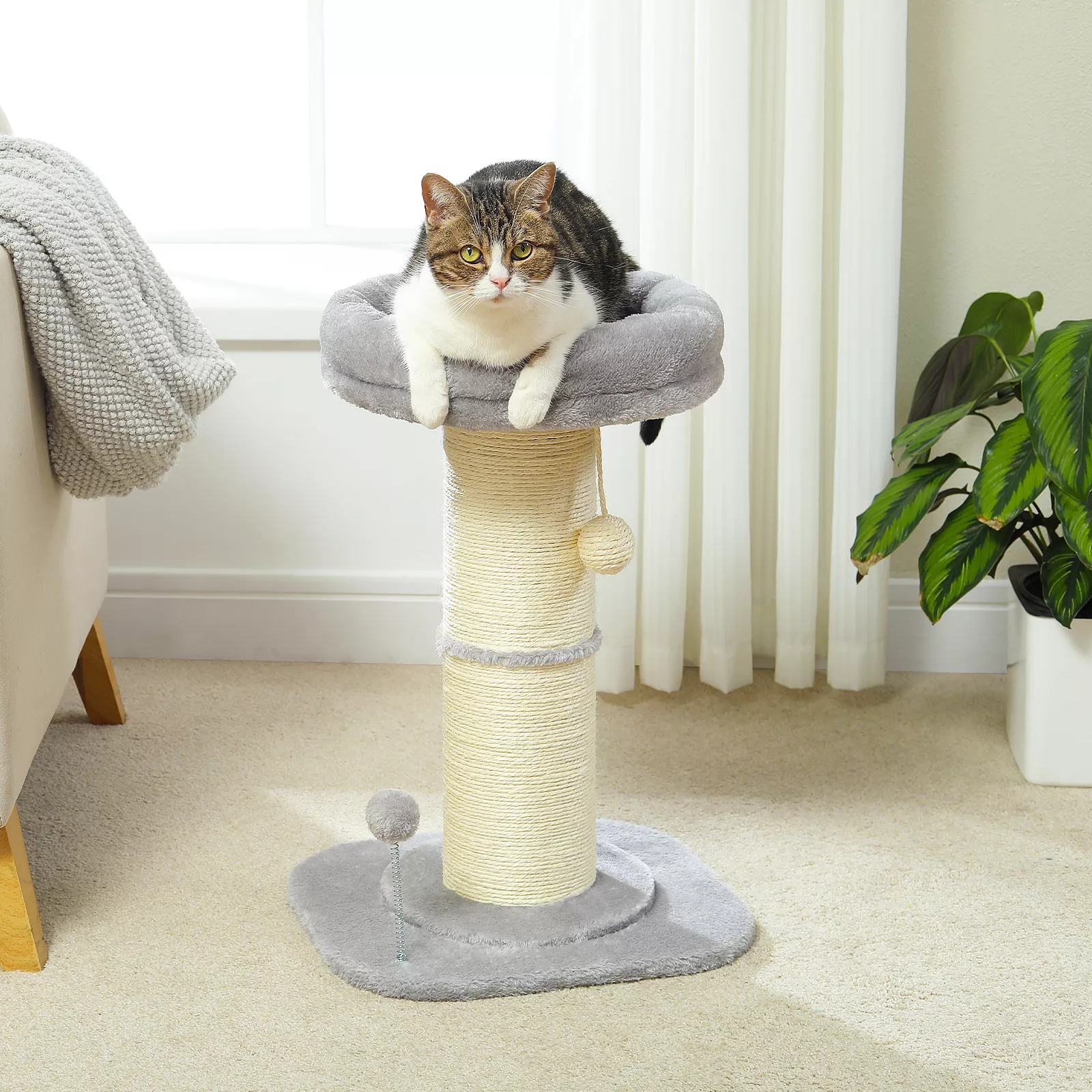 Flower Cat Scratching Post with Super Thick Sisal Post and Removable Perch Mat - Image 2