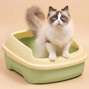 Plastic Semi-Enclosed Cat Litter Box