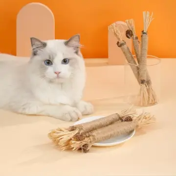 Natural Cat Molar Stick Toy