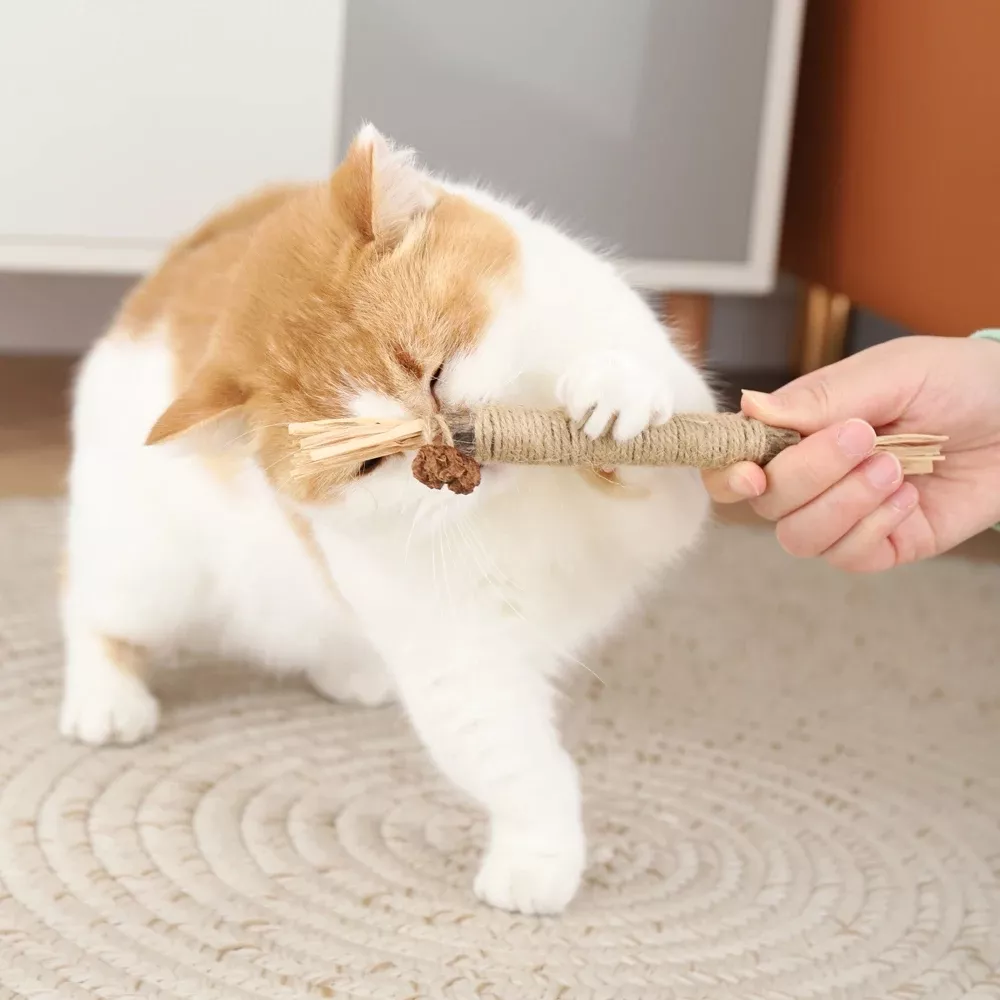 Natural Cat Molar Stick Toy - Image 3