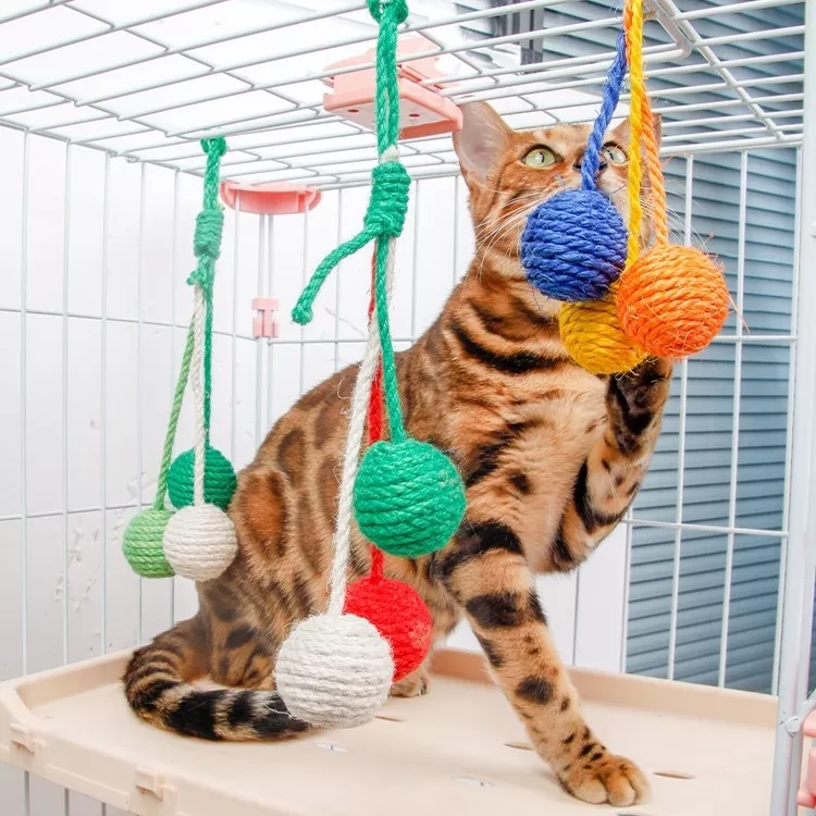 Colorful Cat Rope Ball Toy Set