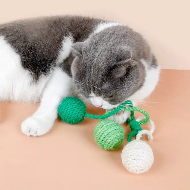 Colorful Cat Rope Ball Toy Set - Image 5
