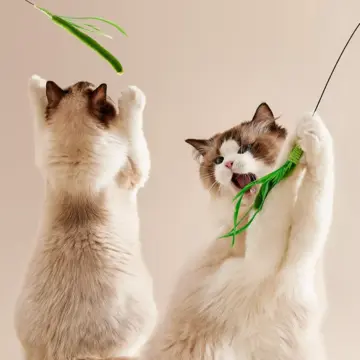 Feather Teasing Cat Stick Toy - Interactive Fun for Kittens and Cats