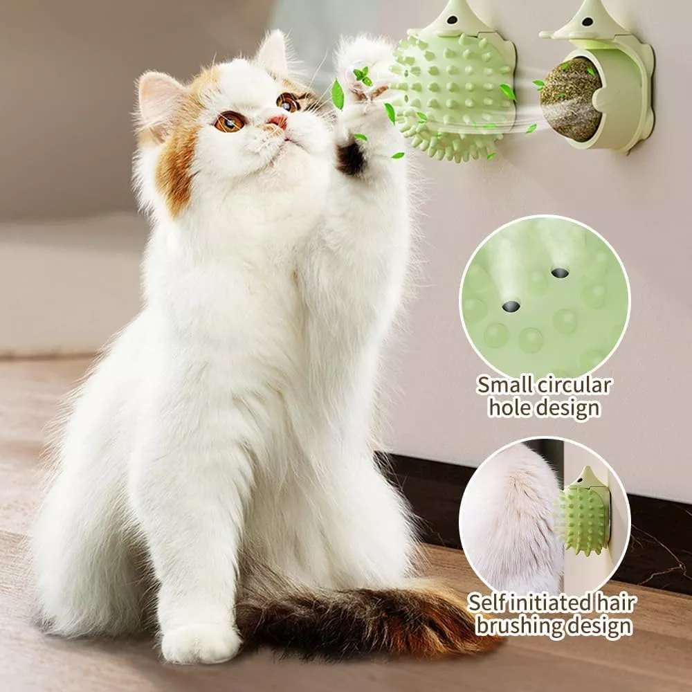 Interactive Catnip Hedgehog Ball - Image 4