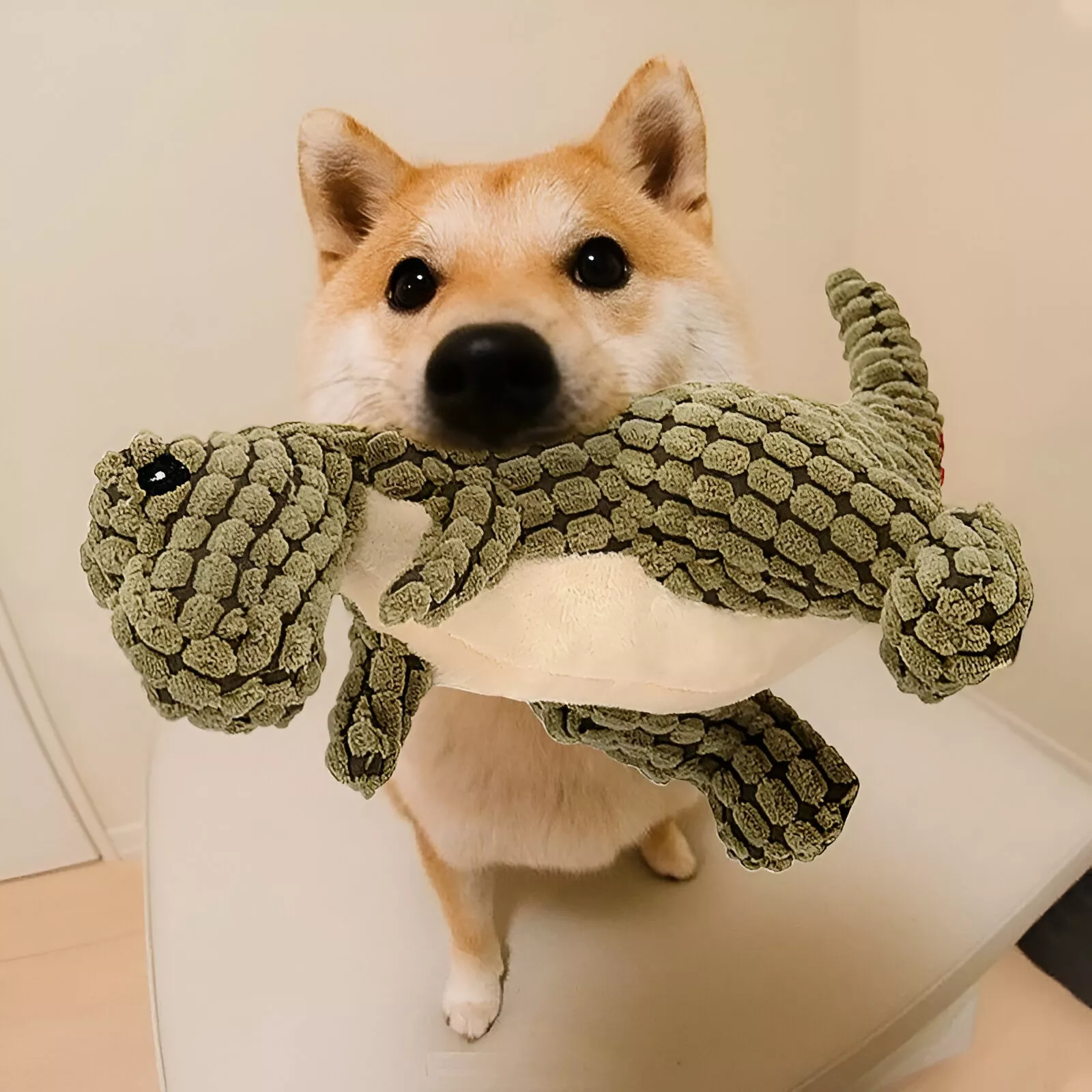Interactive Plush Dinosaur Chew Toy for Dogs - Image 2