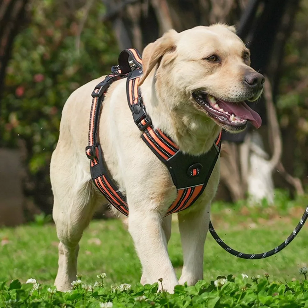 Durable Portable Big Dog Harness Vest for Medium and Large Dogs - Image 4