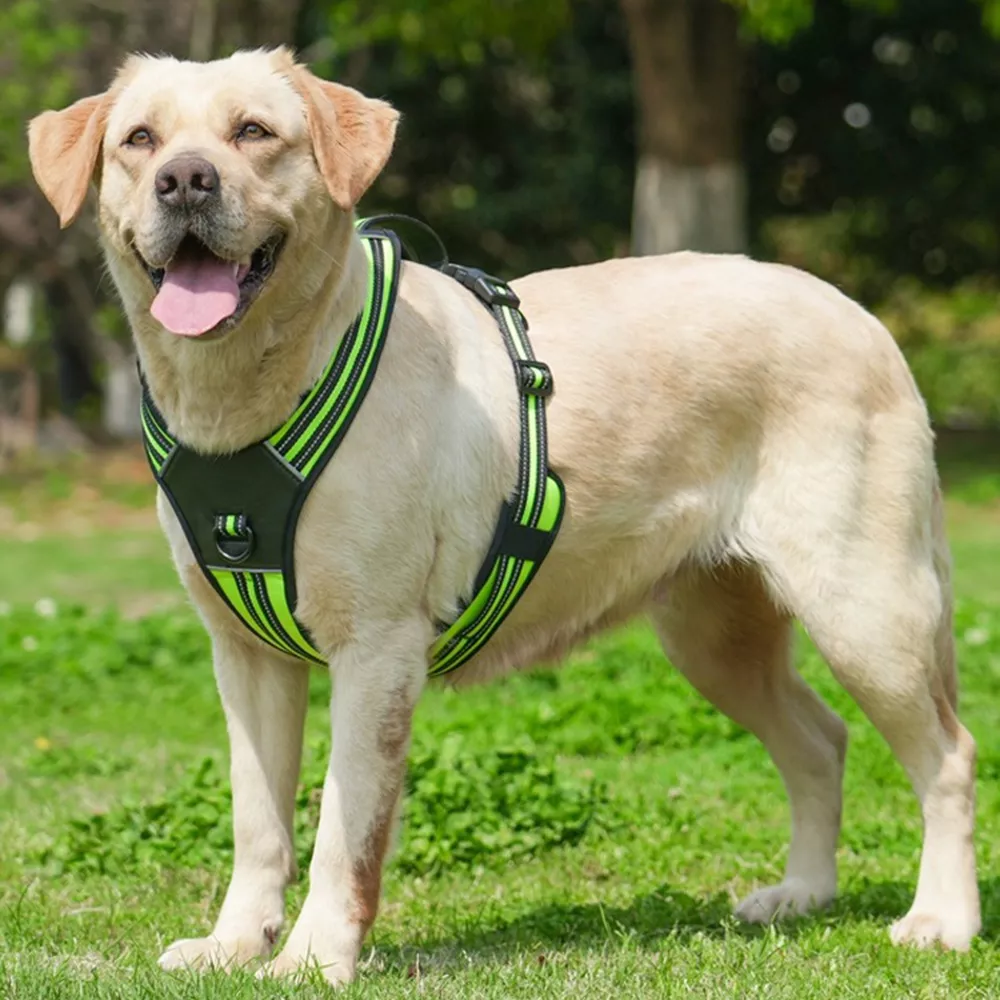 Durable Portable Big Dog Harness Vest for Medium and Large Dogs - Image 5