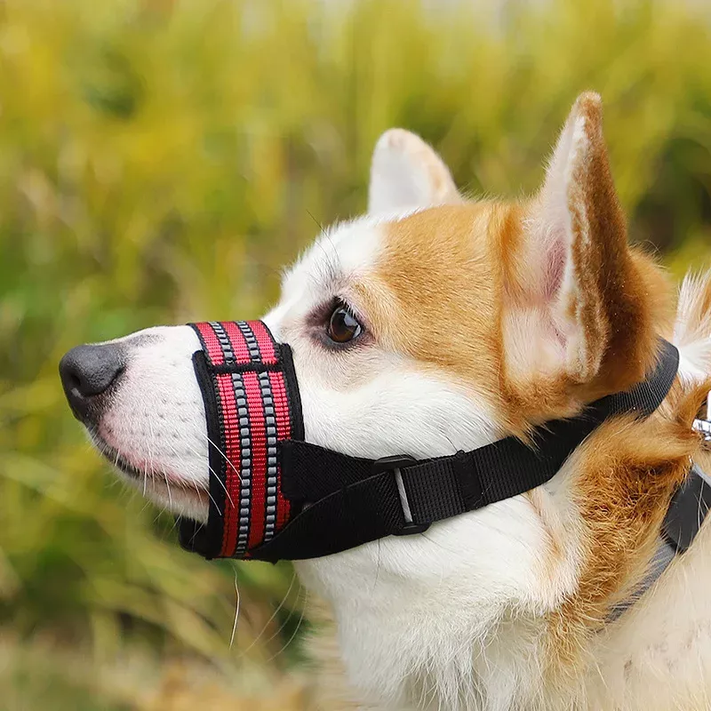 Adjustable Anti-Bite Pet Muzzle for Medium and Large Dogs - Image 2