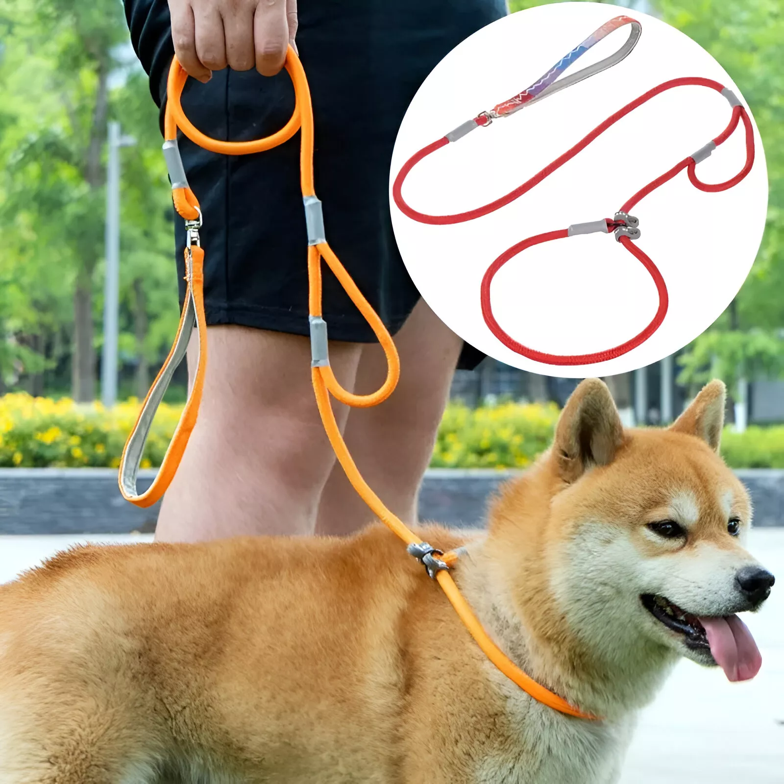 Adjustable Double Handle Dog Leash for Walking - Image 4