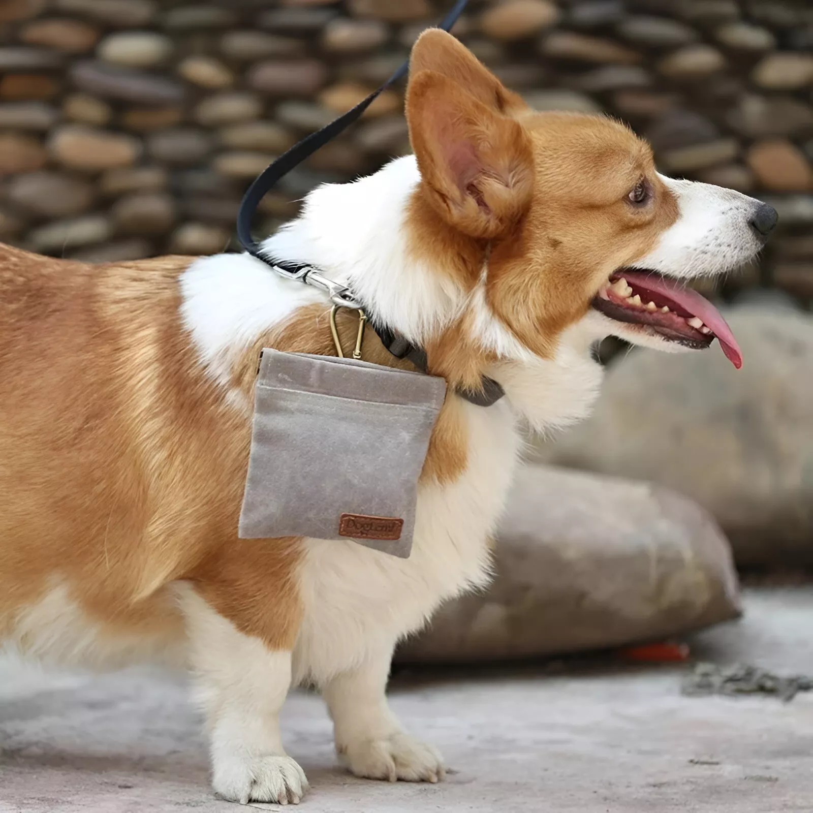 Durable Dog Treat Pouch for Training and Travel - Oil Resistant Snack Bag