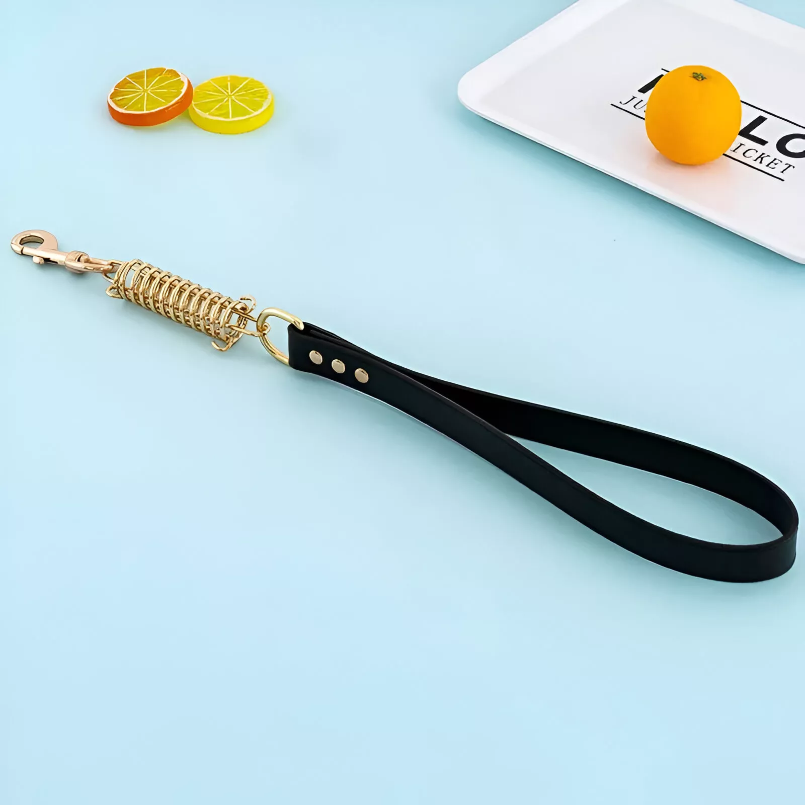 Durable Dog Leash with Stainless Steel Spring and PU Leather for Walking - Image 4