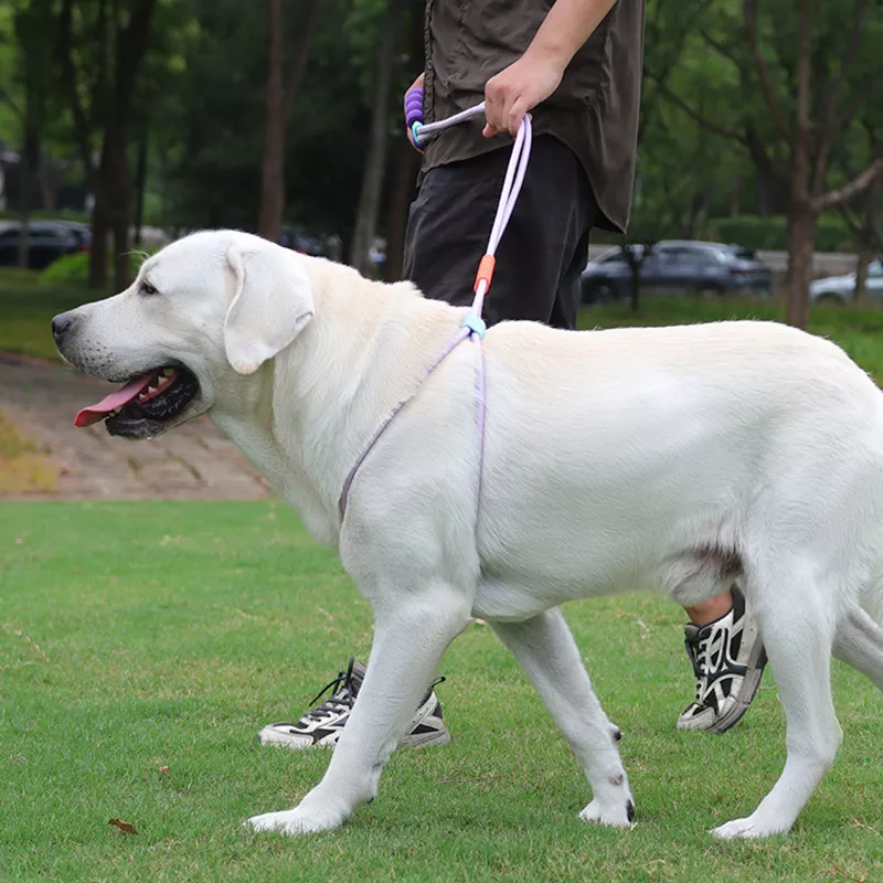 Adjustable Dog Harness and Leash Set for Small to Large Dogs - Durable & Colorful - Image 3