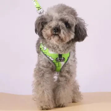 Adjustable Dog Harness Vest with Leash for Small Dogs, Escape Prevention