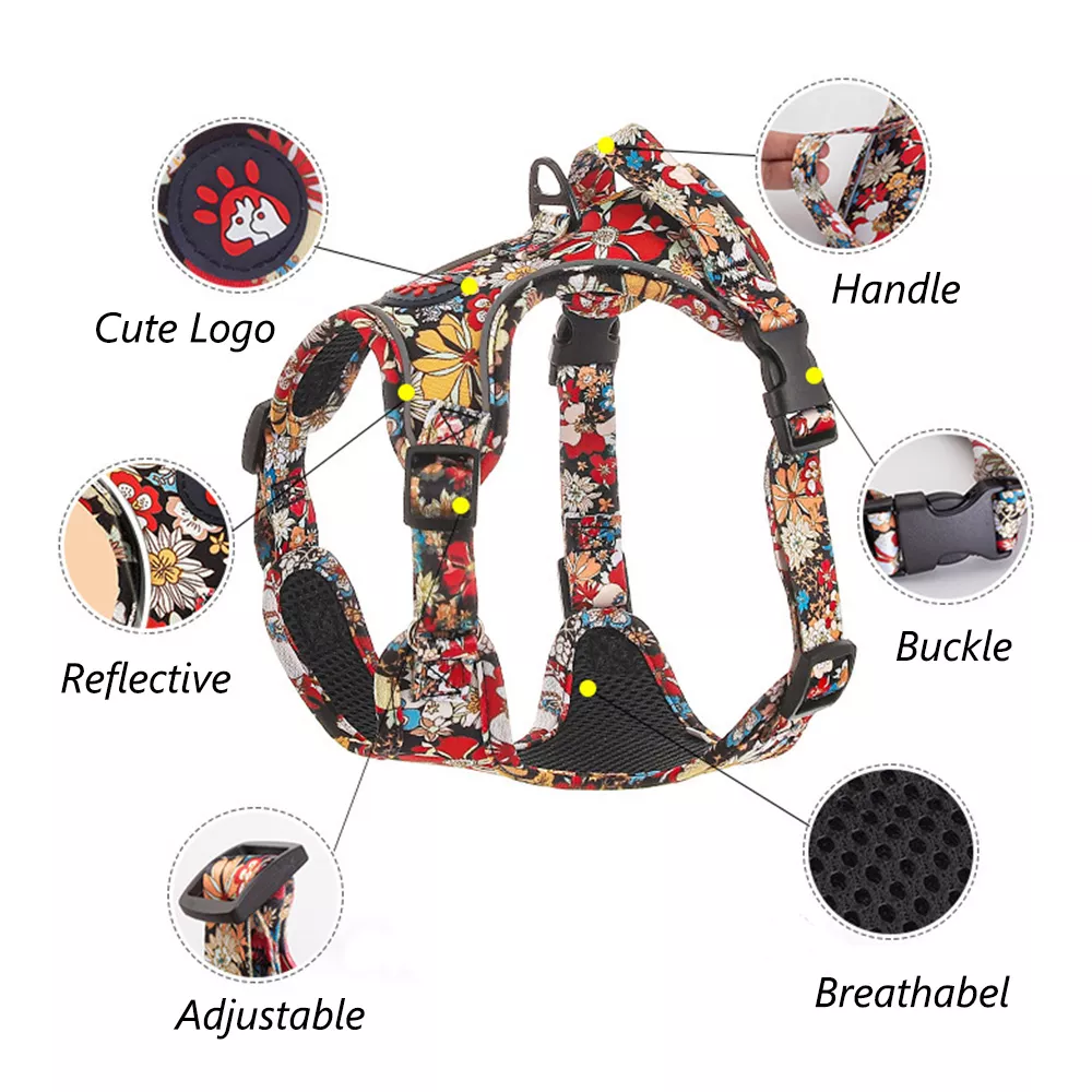 Fashionable Print Dog Harness and Leash Set for Small and Medium Dogs - Image 4