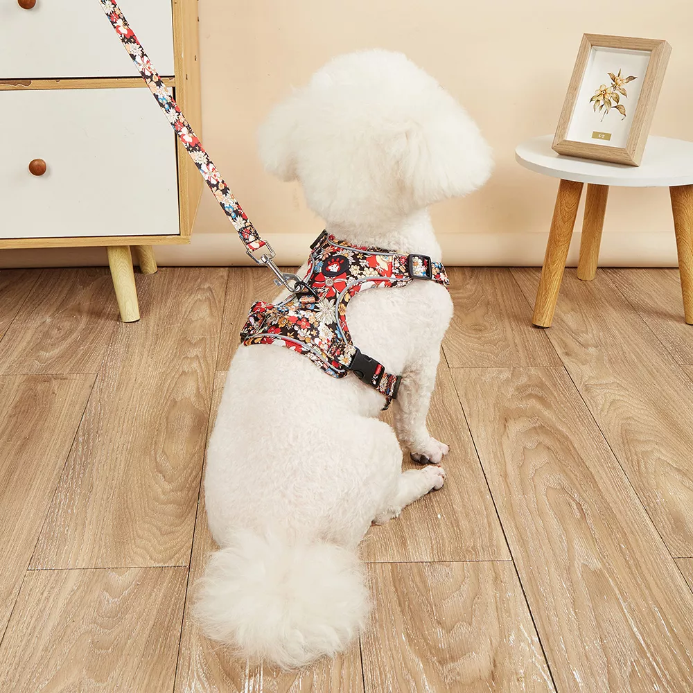 Fashionable Print Dog Harness and Leash Set for Small and Medium Dogs - Image 2
