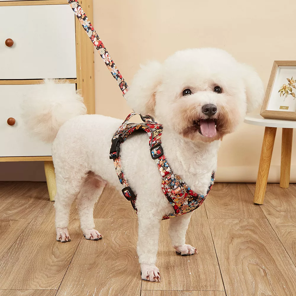 Fashionable Print Dog Harness and Leash Set for Small and Medium Dogs - Image 3