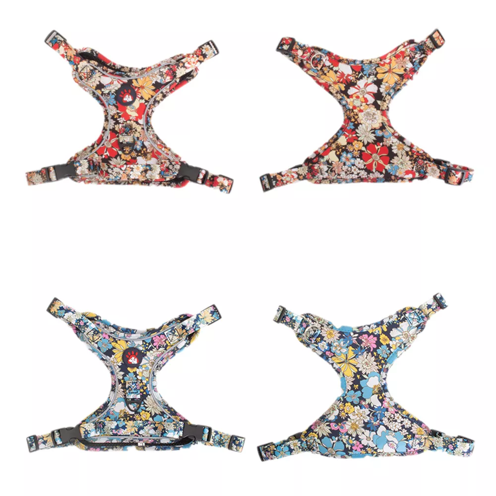 Fashionable Print Dog Harness and Leash Set for Small and Medium Dogs - Image 5